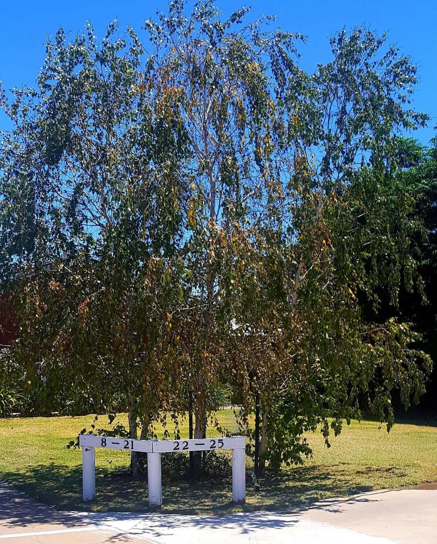 Centrepoint Motel Deniliquin Buitenkant foto